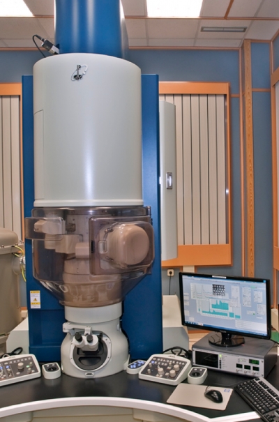 JEOL JEM ARM200cF con aberraci&oacute;n corregida en la lente condensadora (Equipo singular- acceso a trav&eacute;s de ICTS-ELECMI)