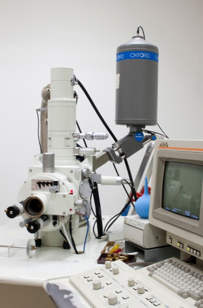 JEOL 6400 JSM